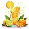 fresh-citrus-beverage-illustration_100